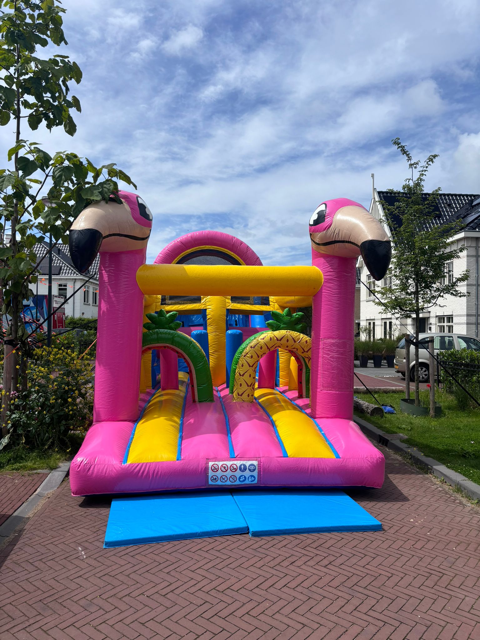 Stormbaan Flamingo 